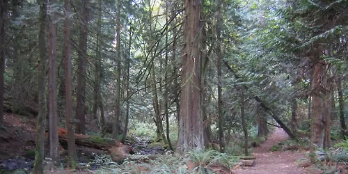 HV Hikers: "Two Hills" (difficult)