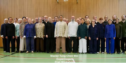 Master Chen Wei Tung's second workshop in Cph.