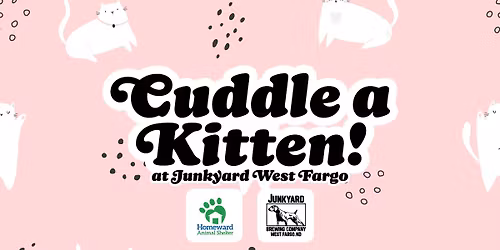 Cuddle a Kitten! at Junkyard West Fargo