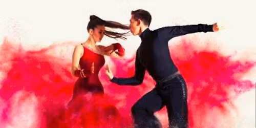 Salsa workshop en Red party