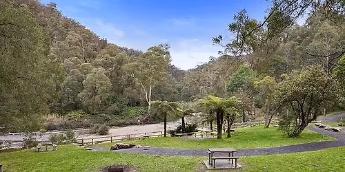 Coopers Creek Long Weekend