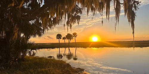 Manatees and Monkeys, Exploring Florida's Springs