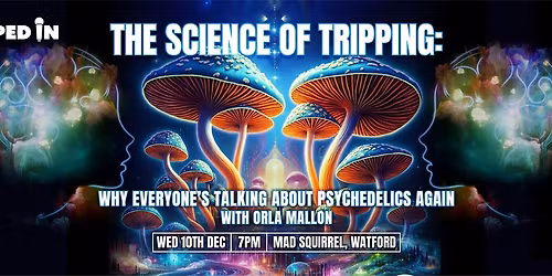 Tapped In: The Science Of Tripping - Why Everyone's Talking About Psychedelics Again