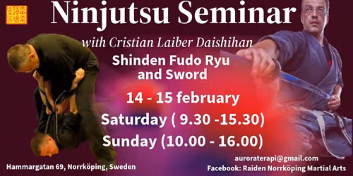 Ninjutsu seminar - Shinden Fudoryu and sword