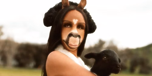 horsegiirL