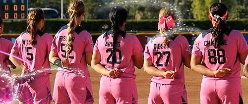 The Pink Charity Softball Tournament