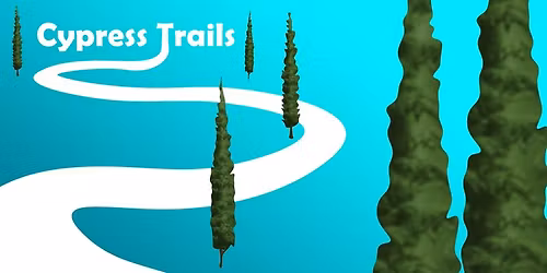 Festive Forest Winter Light Show