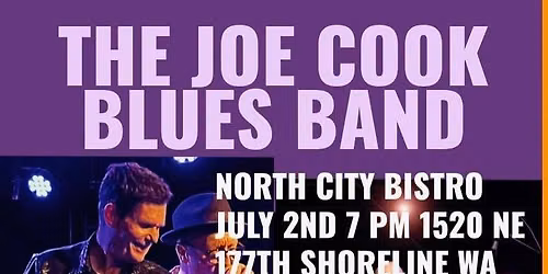 The Joe Cook Blues Band