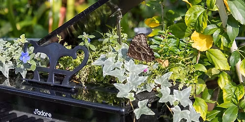 Bugs, Rhythm and Blues