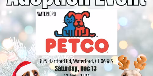 Adoption Event at Petco, Waterford