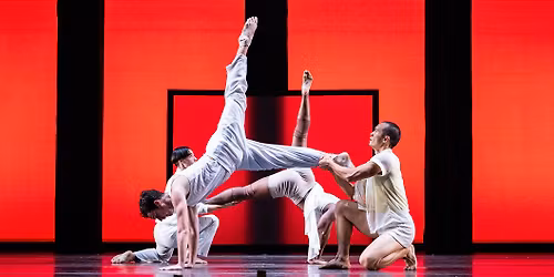 Bill T. Jones and Arnie Zane Company: Still\/Here