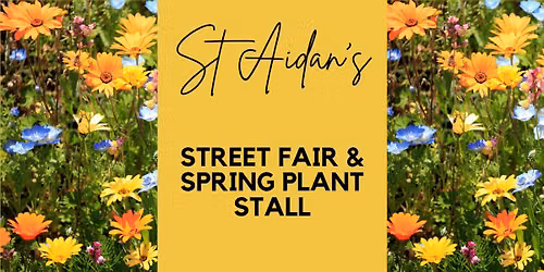 Street Fair & Spring Plant Stall