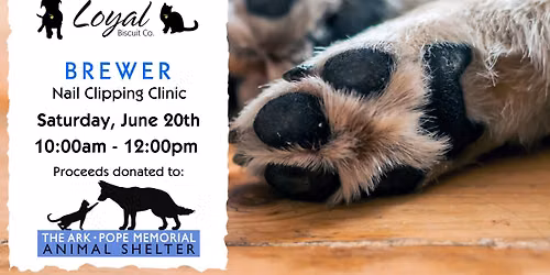 Nail Clipping Clinic - Brewer