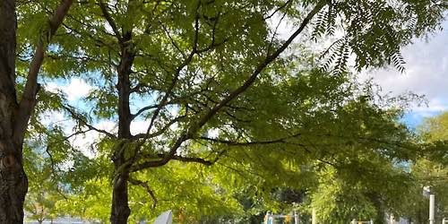 Nature in Your Neighborhood: Bugs!