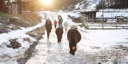 Ponniklubb 10. januar