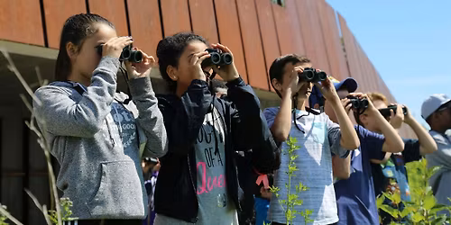 Winter Birding Series: Birding Basics-Advanced