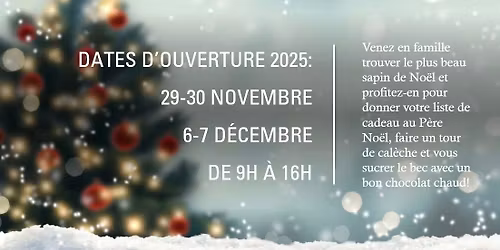 Autocueillette sapins de Noël