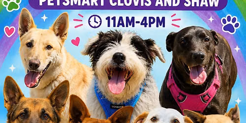 July adoptions at Petsmart Clovis and Shaw