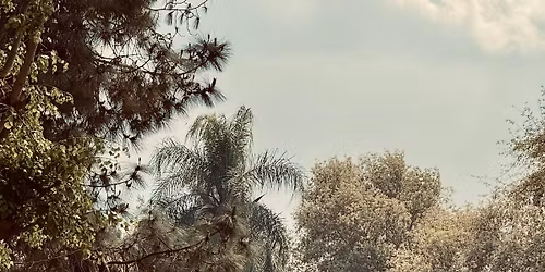 \u0631\u062d\u0644\u0629 \u0627\u0644\u0642\u0646\u0627\u0637\u0631 \u0627\u0644\u062e\u064a\u0631\u064a\u0629 \u0648\u062c\u0632\u064a\u0631\u0629 \u0627\u0644\u0645\u0648\u0632 \u2728\ud83c\udf3f \u064a\u0648\u0645 \u0645\u062e\u062a\u0644\u0641\u2026 \u0646\u0633\u064a\u0628 \u0641\u064a\u0647 \u0632\u062d\u0645\u0629 \u0627\u0644\u0642\u0627\u0647\u0631\u0629