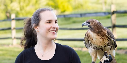 Meet a Live Red-tailed Hawk,  Eastern Screech Owl and African Lanner Falcon