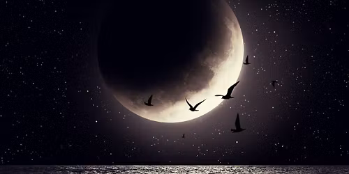 New Moon Meditations