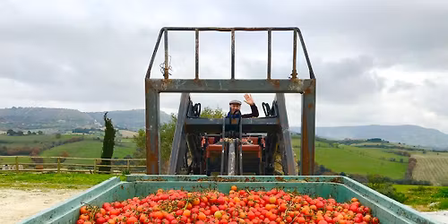 Sicilian Foodie Experience day trip by catamaran: Saturday 27 June 2026