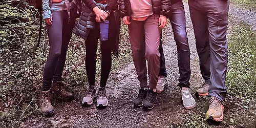 Guided Blue Ghost Firefly Night Tour