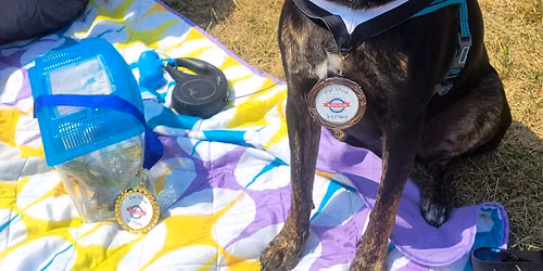 Pet Show and Contest