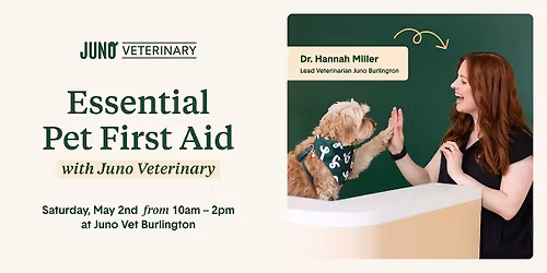 Essential Pet First Aid with Juno Veterinary Burlington