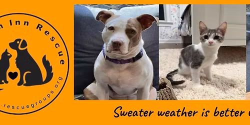 Bark for Life Adoption Event 