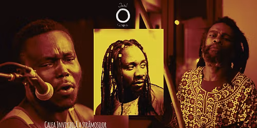 Calea invizibil\u0103 a str\u0103mo\u0219ilor - Petrecere comunitar\u0103 de lumina\u021bii (Brazilia, Togo, Guinea, Rom\u00e2nia)