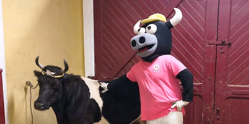 Premier Croque Vaches saison 2k26