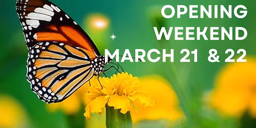 Opening Weekend at the Dahlonega Butterfly Farm