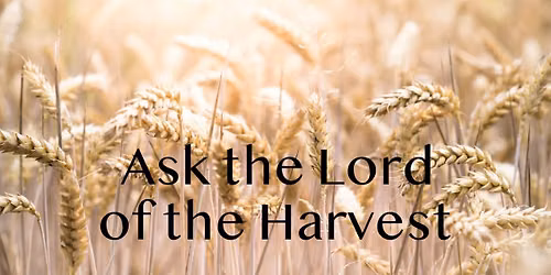 4th Sunday after Pentecost Worship