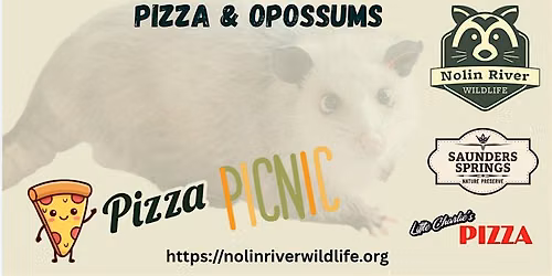 Pizza & Opossums