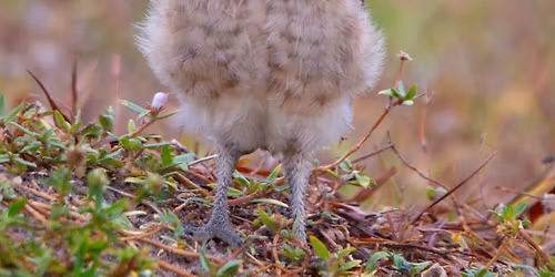 April General Meeting