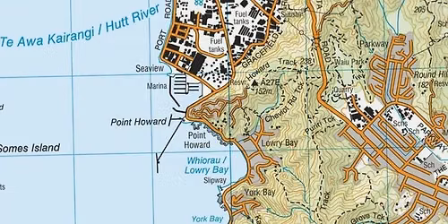 Trip: Northern Forest, East Harbour Regional Park, Wainuiomata