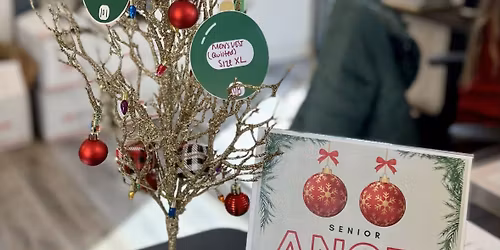 Elk Grove Township Meeting