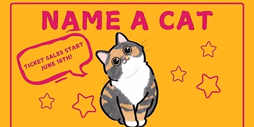 Name a Cat Fundraiser @The Scratching Post