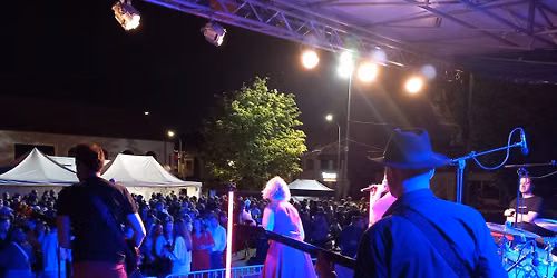 Zomerconcerten 2026 - Stekene