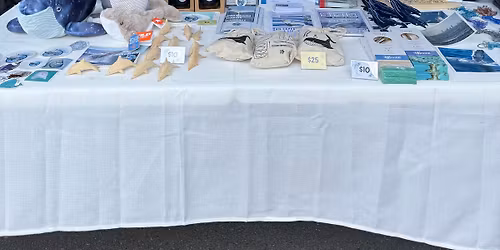 Stall at Botanical Bazaar 2026