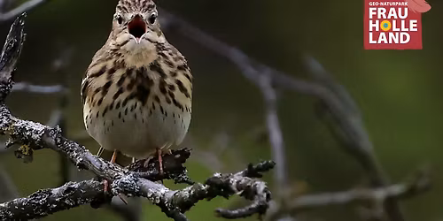ausgebucht: Vogelstimmenwanderung