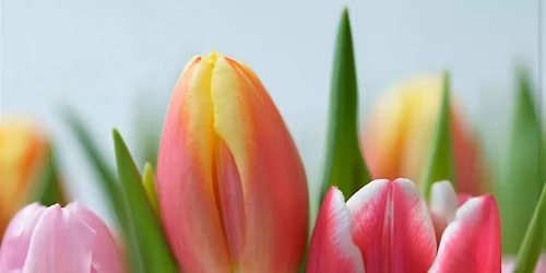 Mothers Day Drawing Workshop