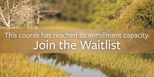 Identification and Conservation of Wetland Plants