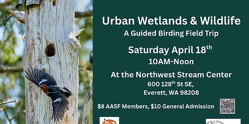 Urban Wetlands &\ufeff Wildlife: A Birding Field Trip