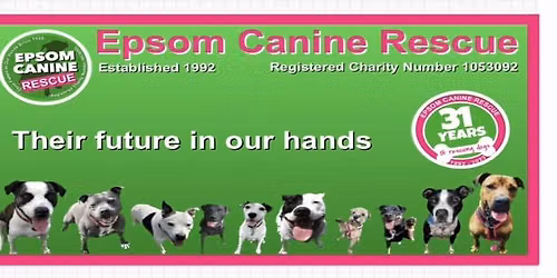 GODSTONE FETE AND DOG SHOW