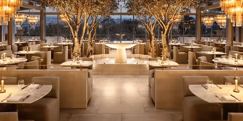 A Celebration of 55 and Flourishing: Lux Lunch & Holiday Magic