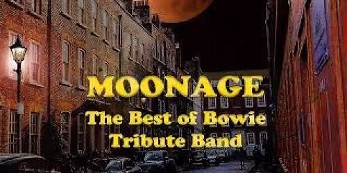Moonage - The Best of Bowie