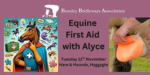 Equine First Aid with Alyce \ud83e\udd15