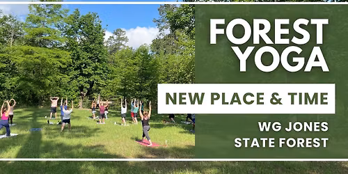 Forest Yoga at WG Jones State Forest